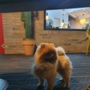 화동로 1079번길 이미지