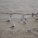 용두레마을 이미지