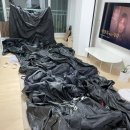 제드 티맥스ex / 가평 애견동반 캠핑장 “아워포레스트” / 아워텐트 14
