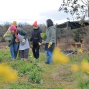 봄의 선물_제주 밥상 이야기 이미지