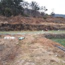 장원부동산공인중개사사무소 이미지