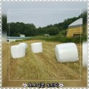 황준목장 이미지