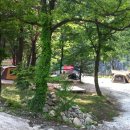 개미들솔향기야영장 이미지