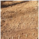 단비농장 이미지