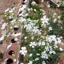 지우네 농장 이미지