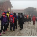 제주 자락 이미지