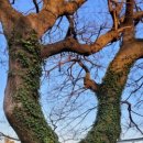 예래동-6 이미지