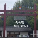 고려체육관 | 전남 담양 죽녹원 여행 코스 대나무축제 카페 주차장 근처 맛집