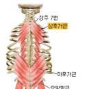 더블유필라테스 이미지