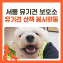 이지라이프 복지센터 | 서울시립동물복지지원센터 유기견 보호소에서 유기견 봉사활동