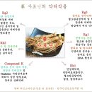 정성원 이미지