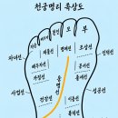 천궁명리 족상학(天宮命理 足相學)원리 이미지