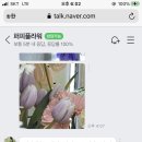 썸퍼피 이미지