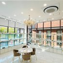 펫아미 강아지분양 고양이분양 동탄점 이미지