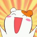 단양별마루캠핑장 네이버블로그