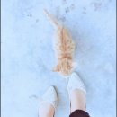 노엘의 다락방 이미지