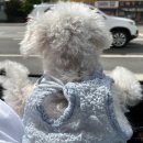 아이앤지소프트 이미지