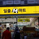 제주캐노픽스 이미지