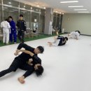 오리진 주짓수 이미지