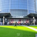 영천 약남리 회화나무 | 코엑스 2026 서울 국제 불교박람회 후기 / 사전등록 현장대기 입장 및 부스 굿즈 정보