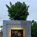공감선유 이미지