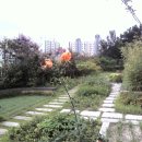 하늘정원 이미지