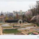 먹뱅이골 농장 이미지