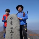 광양이야기 이미지