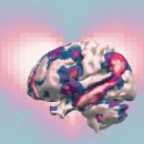 우리 아이 타고난 뇌를 바꾸는 마법: 습관형성 | 사람 관계 뇌 변화! 기분 전환 끝판왕? 우울증 지우는 유대감의 힘