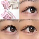 청순아이래쉬 | 노글루속눈썹 추천 꽁래쉬 3종 비교 후기 | 언더노글루까지