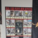 캣츠앤몬스터 네이버블로그