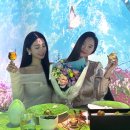 보태니카 이미지