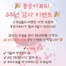 용인 기흥구 속눈썹연장 1년 찐단골 리얼 후기[봉숭아 뷰티]💅✨
