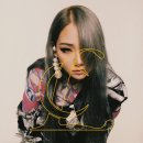 연일비디오 이미지