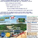 명품기획주 이미지