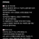 네일디어블리스