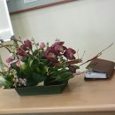 꽃꽂이 교실1 이미지