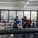 용인대SM복싱클럽 길동점 이미지