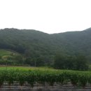 천등산민박