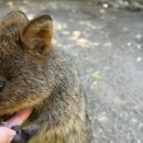 동물원주유소 이미지