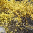 하양공설시장 이미지