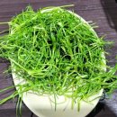 김광석농장 이미지