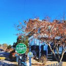 대관령푸른솔펜션1 이미지