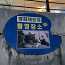 물고기 미포 이미지