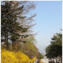 한림오피스텔빌딩 이미지