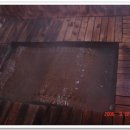 함평해수찜 이미지