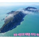 제13회 아름다운 숲 전국대회 신안군 가거도 독실산 난대수림 온라인 투표요청**^^ 이미지