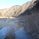 낙동강원시비경탐방로 이미지