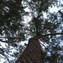 라별풀빌라 남해펜션 이미지