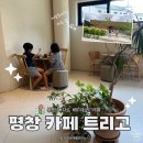평창 카페 트리고 평창본점 봉평 메밀 디저트 베이커리 카페 후기